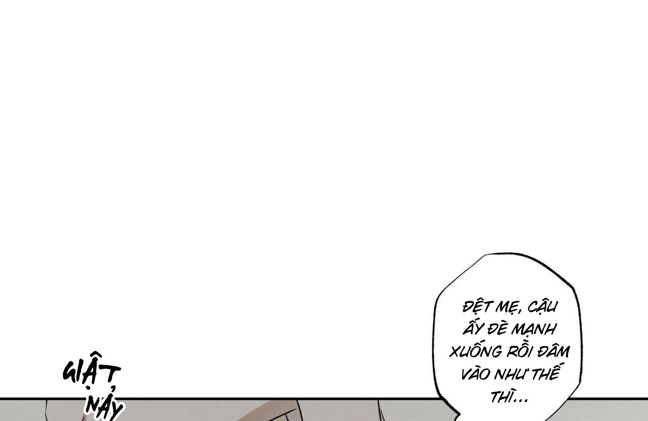 chàng giao pizza và gold palace chapter 48 39