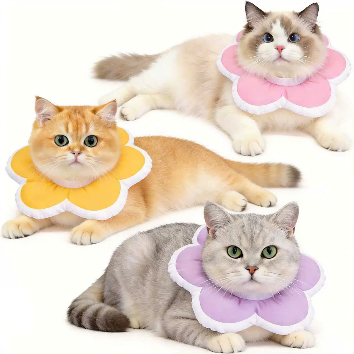 VÒNG CỔ THÚ CƯNG VÒNG CỔ LOA CHỐNG LIẾM CHO THỎ CHÓ MÈO BÔNG HOA DỄ THƯƠNG TỪ 0.5-5.5KG MÃ 10 CHO CHÓ MÈO THỎ