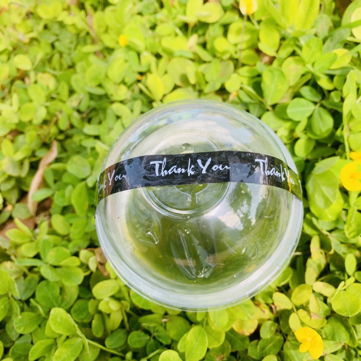 Cuộn Băng keo THANK YOU dán ly cafe - nắp hộp ATD111