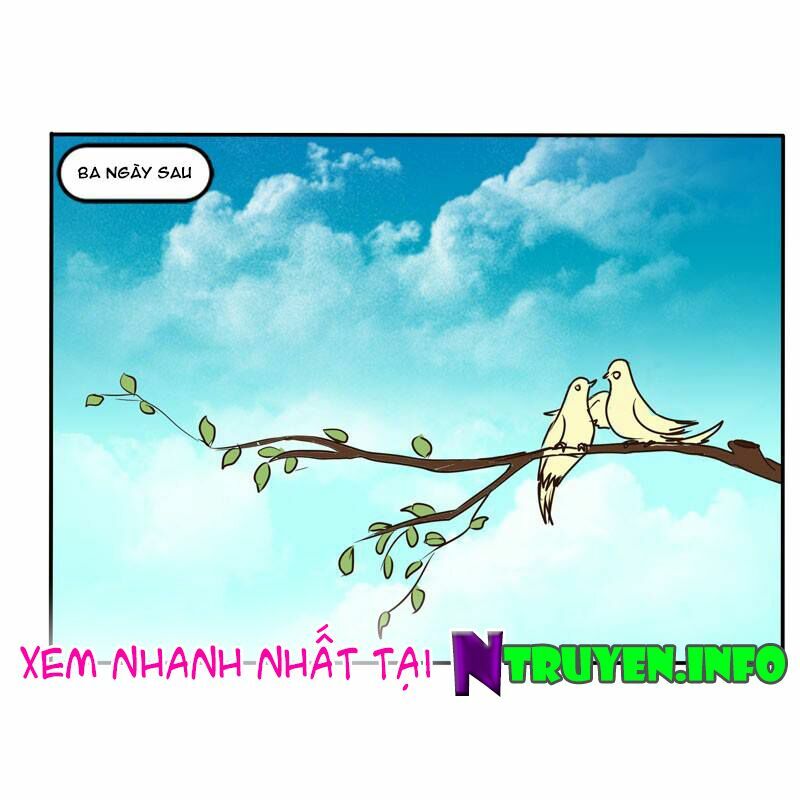 thông linh phi chapter 51 30