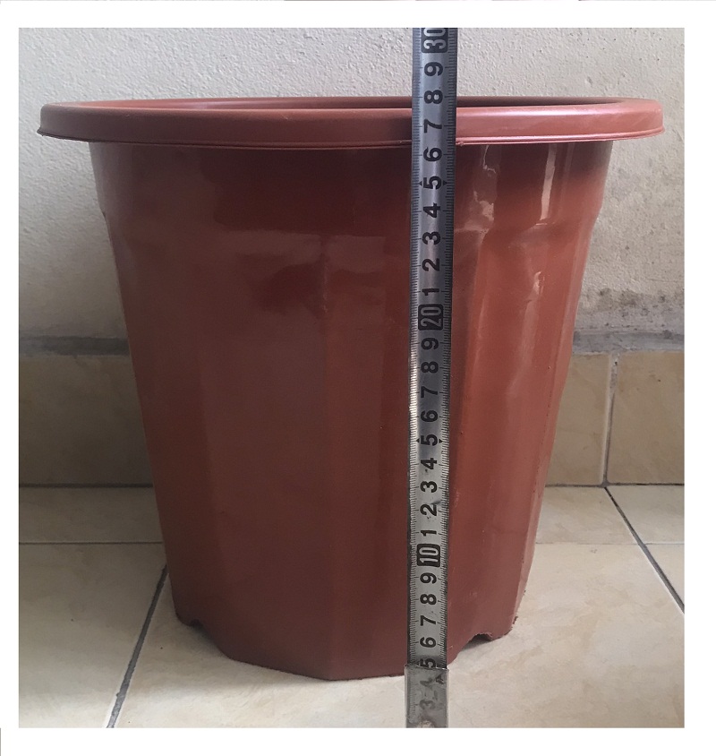 10 Chậu Nhựa Trồng Hoa, Cây Cảnh E350 CN Màu Nâu