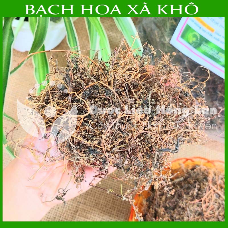 500g Cây Bạch Hoa Xà khô sạch