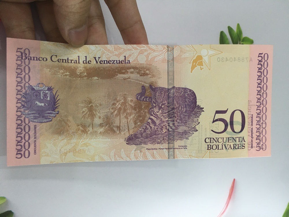 Tiền 50 Bolivares của Venezuela châu Mỹ hình con báo , tặng phơi nylon bảo quản tiền