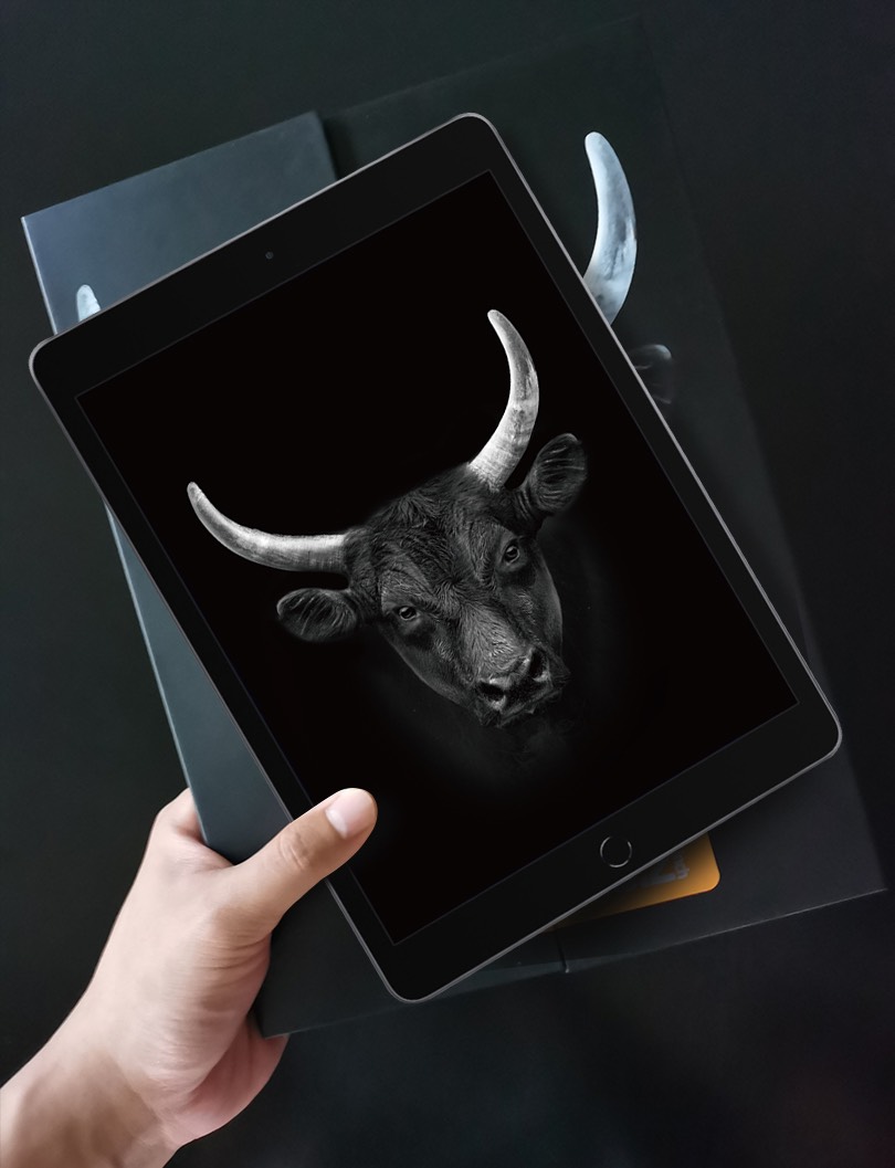 MIẾNG DÁN CƯỜNG LỰC MIPOW KINGBULL PREMIUM HD (2.7D) DÀNH CHO IPAD MINI 6 (8.3 INCH)_ Hàng Chính Hãng