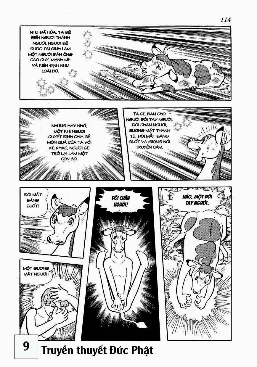 buddha - truyền thuyết đức phật chapter 41 16