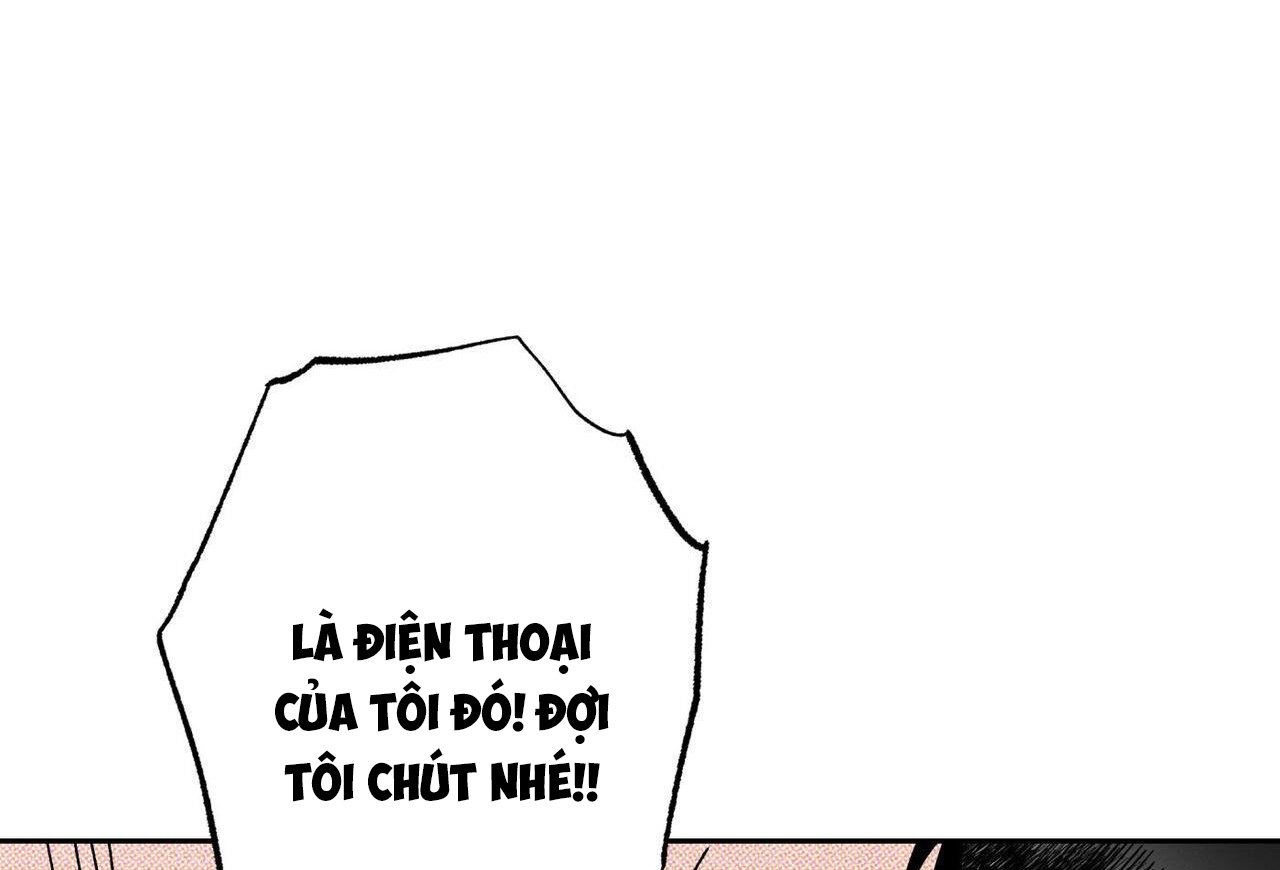 chàng giao pizza và gold palace chapter 48 149