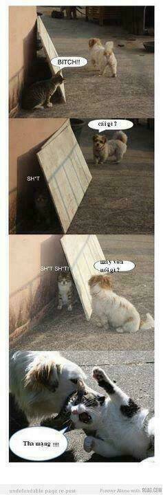 rage comic-troll chapter 66 20