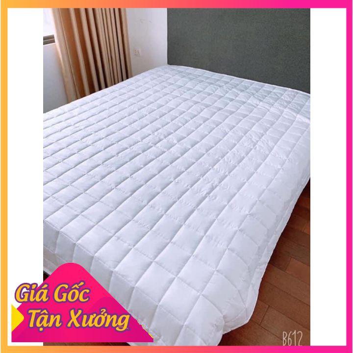 Ruột chăn bông trắng siêu ấm cao cấp