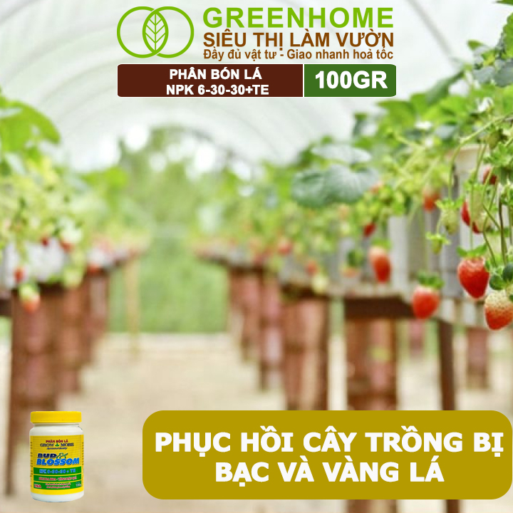 Phân Bón Lá Grow More NPK 6-30-30, GreenHome, Chai 100GR, Kích Ra Hoa, Tăng Đậu Quả