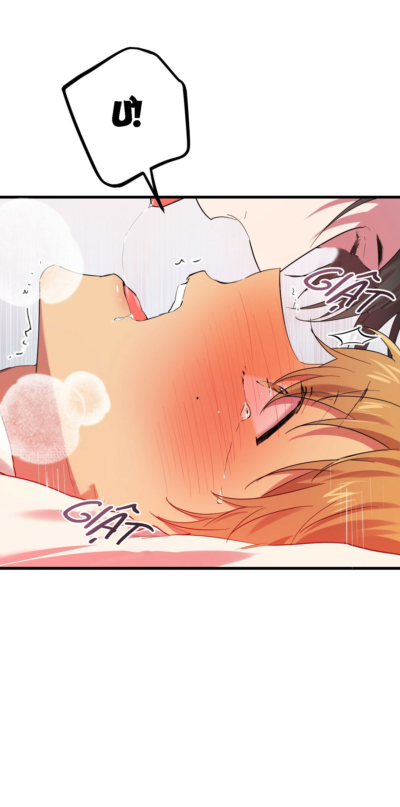 những chú thỏ của hapypy chapter 8 34