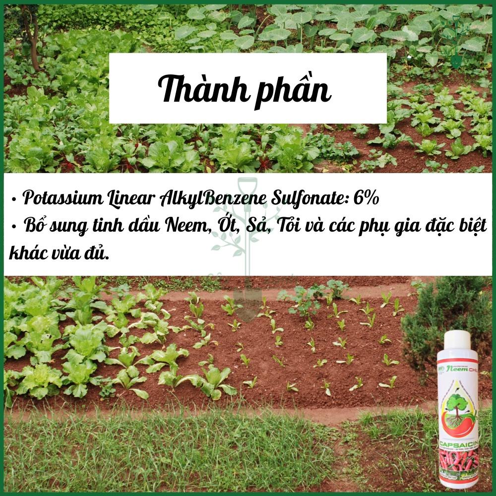 Neem Chili Chất Bám Dính Sinh Học 150ml - Điền Trang Trừ Bọ Trĩ