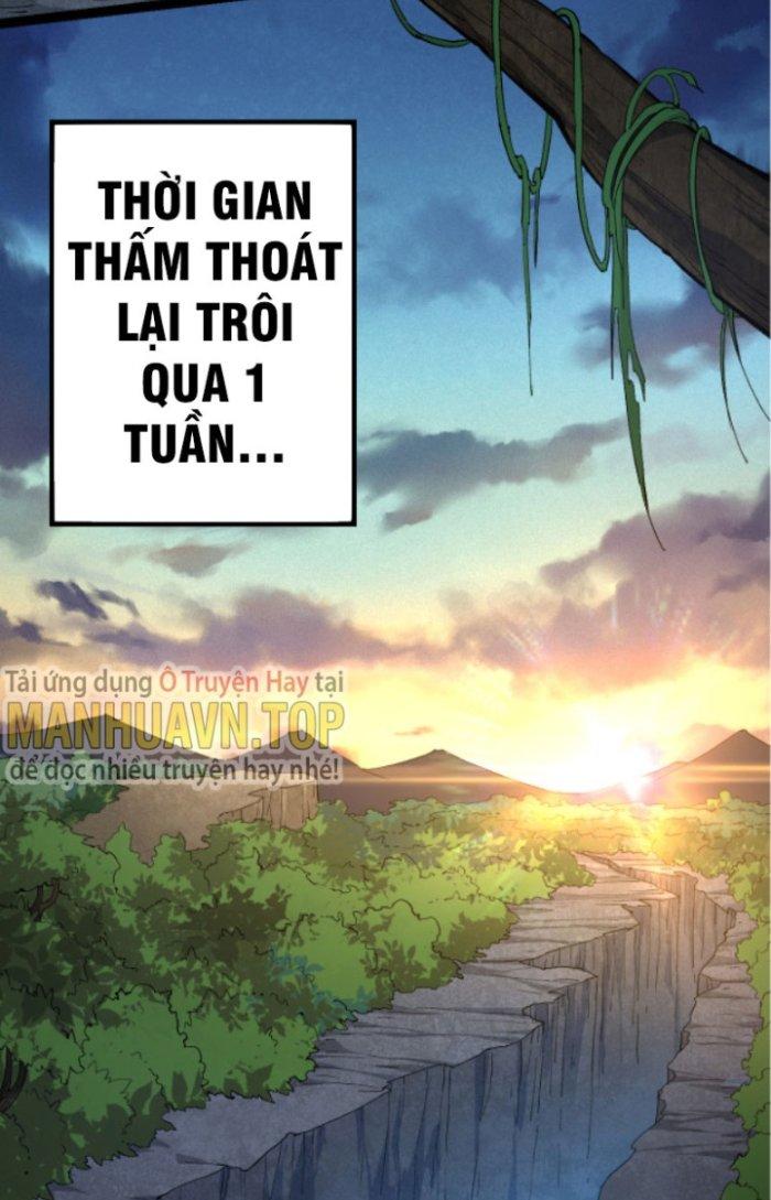 từ cây cổ thụ bắt đầu tiến hóa chapter 4 10