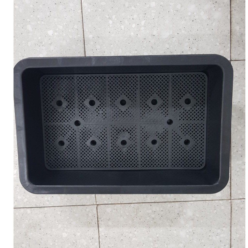 Combo 3 chậu nhựa trồng rau thông minh