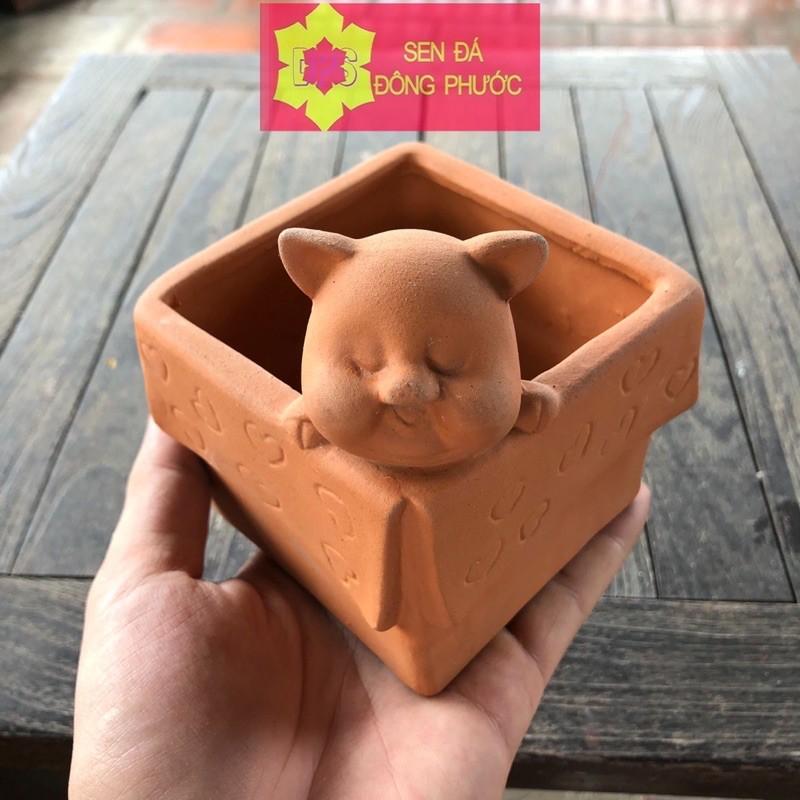 Chậu cây đất nung hình vuông Heo con ngủ - chậu trồng tiểu cảnh sen đá, xương rồng, cây phong thuỷ văn phòng đẹp