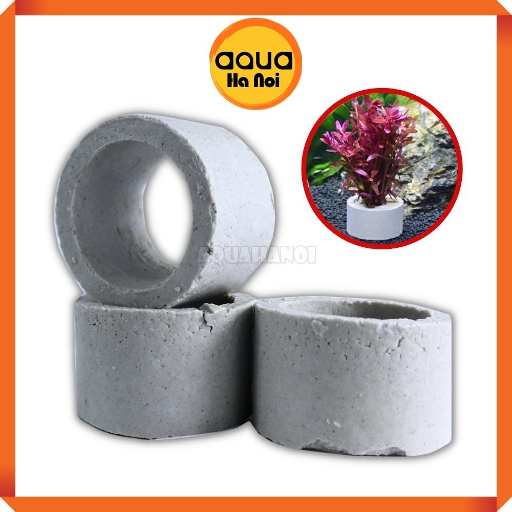 Vòng gốm cố định cốc cây thủy sinh