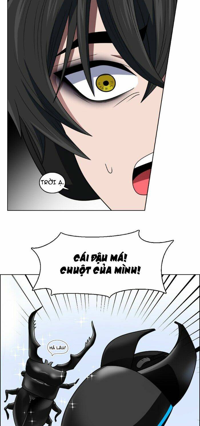 no scope chapter 35 31