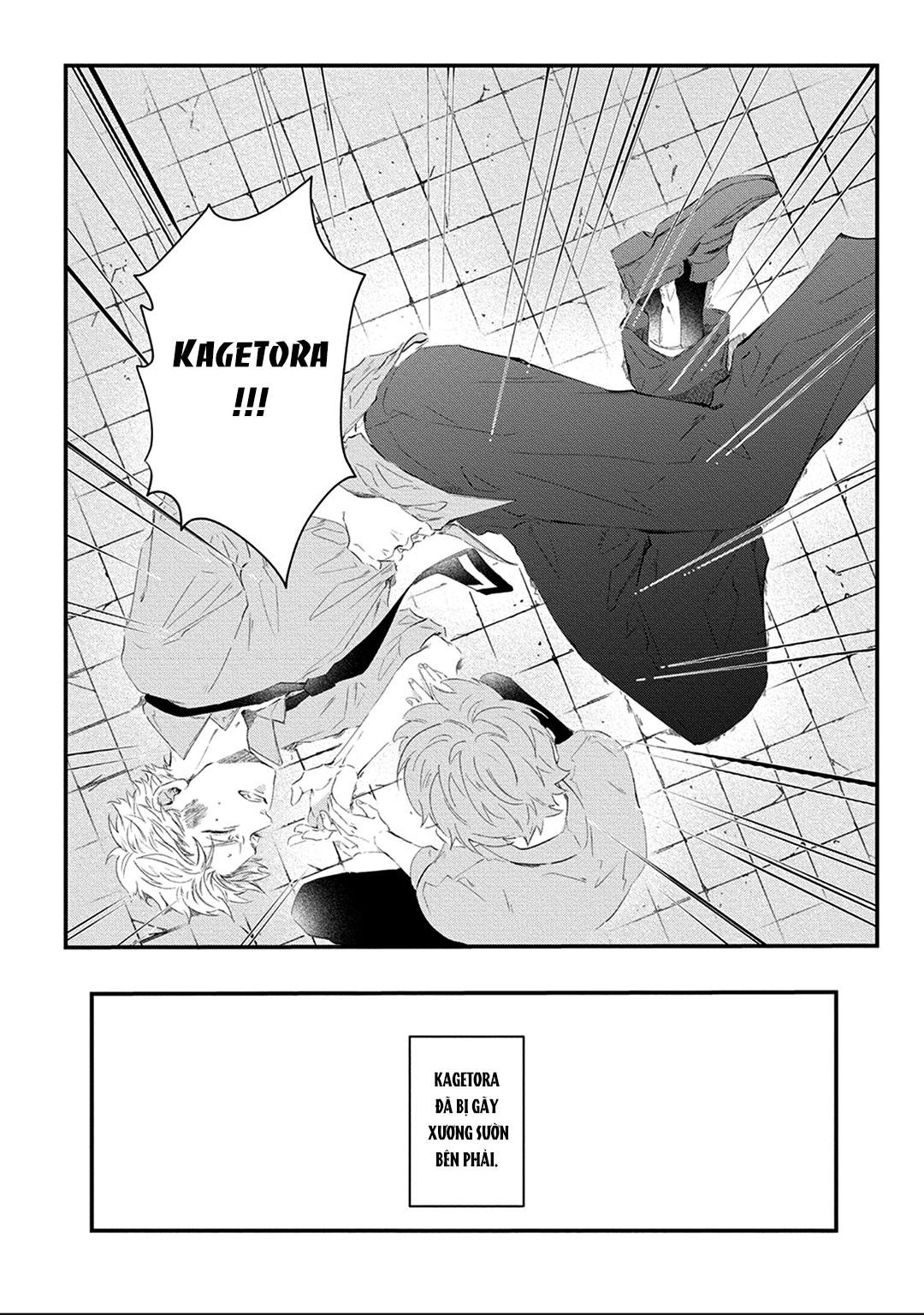 lên giường cùng nhau đêm nay đi chapter 4 13