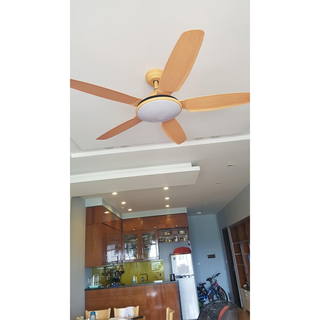 Quạt trần 6 số đảo chiều động cơ DC