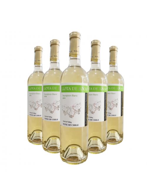 RƯỢU VANG CHILE GOTA SAUVIGNON BLANC 750ML 13%