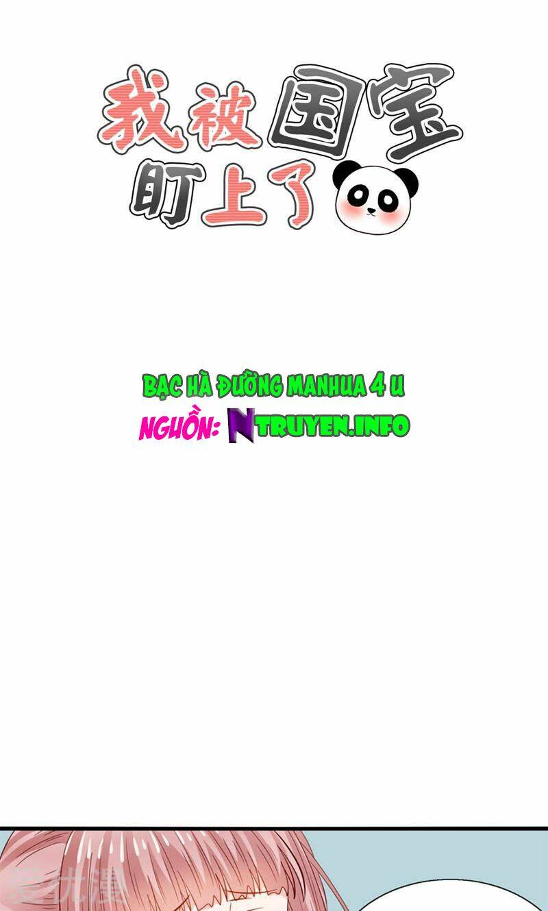 tôi bị gấu trúc nhìn trúng rồi chapter 21 1