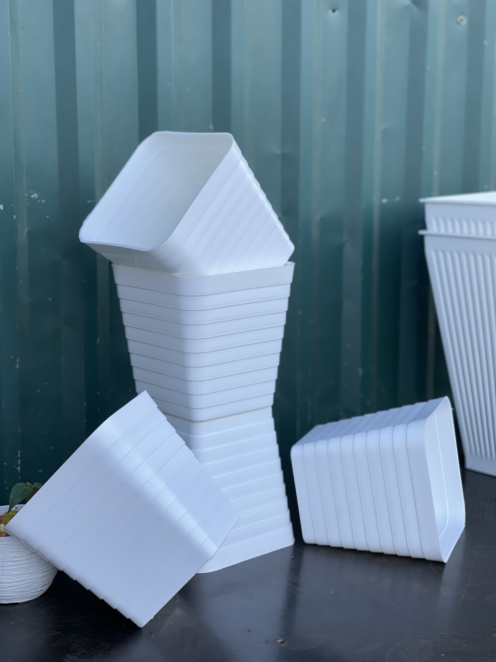 5 Chậu Trồng hoa vuông gân sọc Bình Thuận
