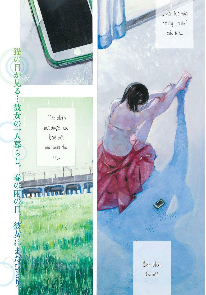 chú mèo và cô chủ chapter 1 3