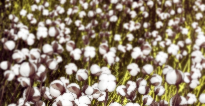 [18+] sự đáng sợ bên trong đại dương chapter 67.2 41