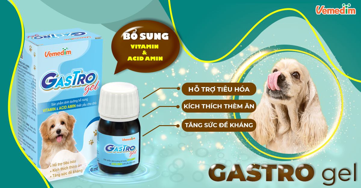 Chai bổ sung dinh dưỡng Vitamin & Acid amin cho Chó Vemedim Gastro Gel Chai 30ml Giúp hỗ trợ tiêu hóa, Tăng sức đề kháng