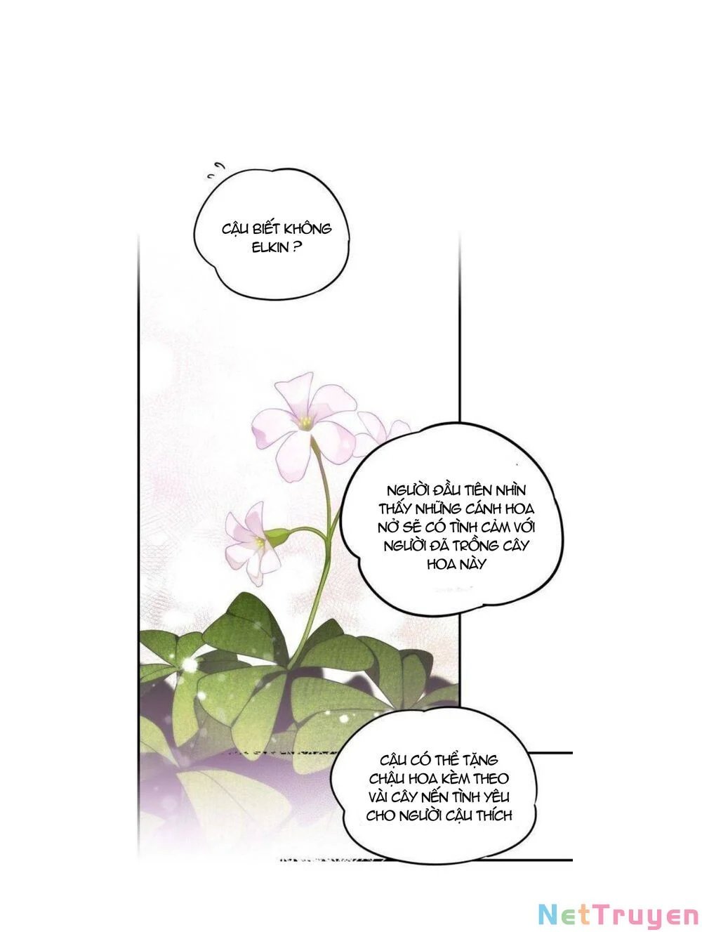 bị che khuất bởi ánh hoàng hôn chapter 39 20