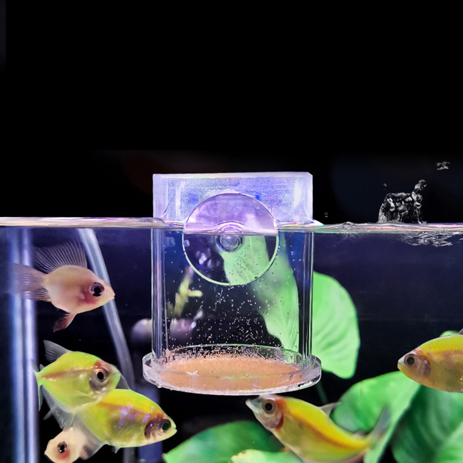 Fish Feeder Transparent Acrylic Artemia Column Fish Feeder Fish Feeding Tube