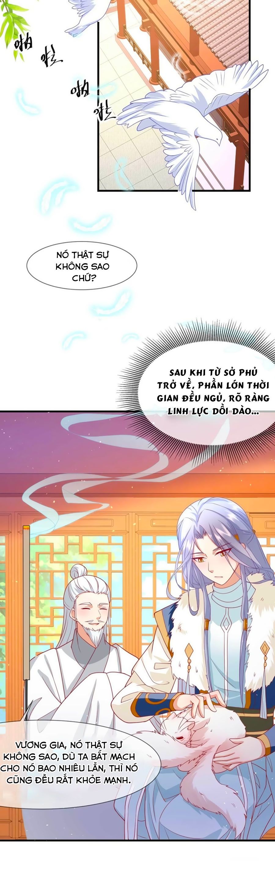 Dưỡng Thú Vi Phi chapter 24 - Trang 5