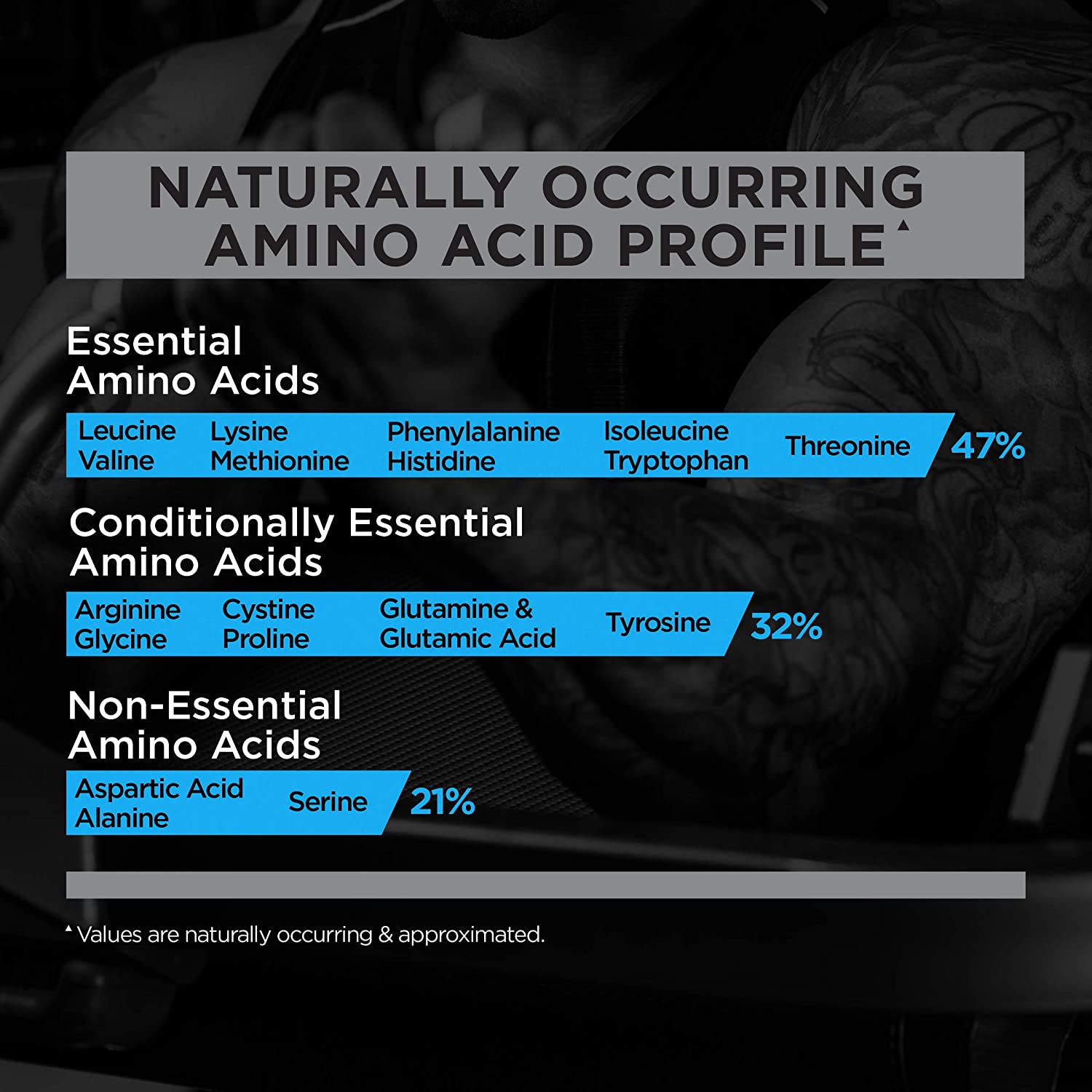 Rule 1 Whey Blend 10lbs (4.54kg) - Sữa tăng cơ bổ sung Protein cho người tập gym - R1 Whey Concentrate - Cookies &amp; Cream