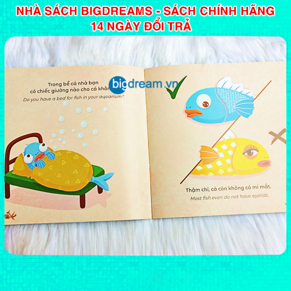 Cá Có Ngủ Không? - Song Ngữ Kể Chuyện Khoa Học SCI-Tales - Phát triển tư duy cho bé - Truyện kể trước giờ đi ngủ