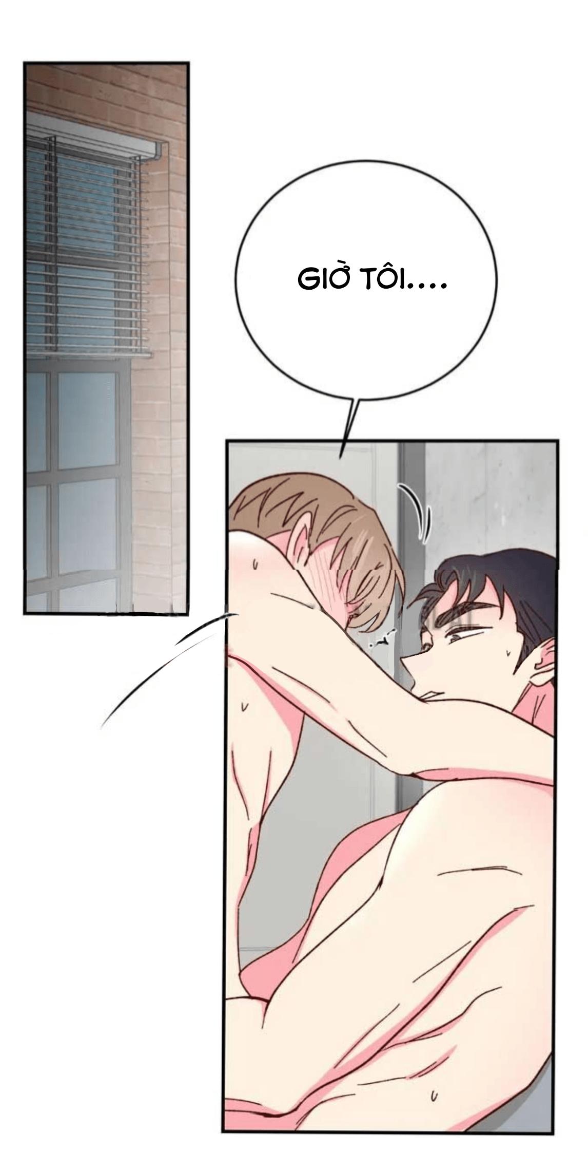 món tráng miệng của sếp tổng chapter 63 20