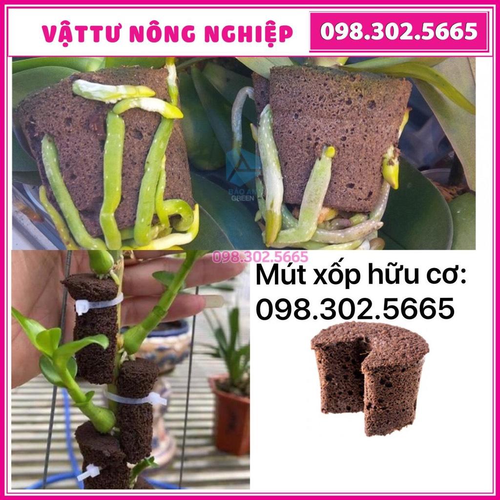 10 Viên mút xốp ươm kie hữu cơ dành cho hoa lan Peatmoss Hà Lan chính hãng