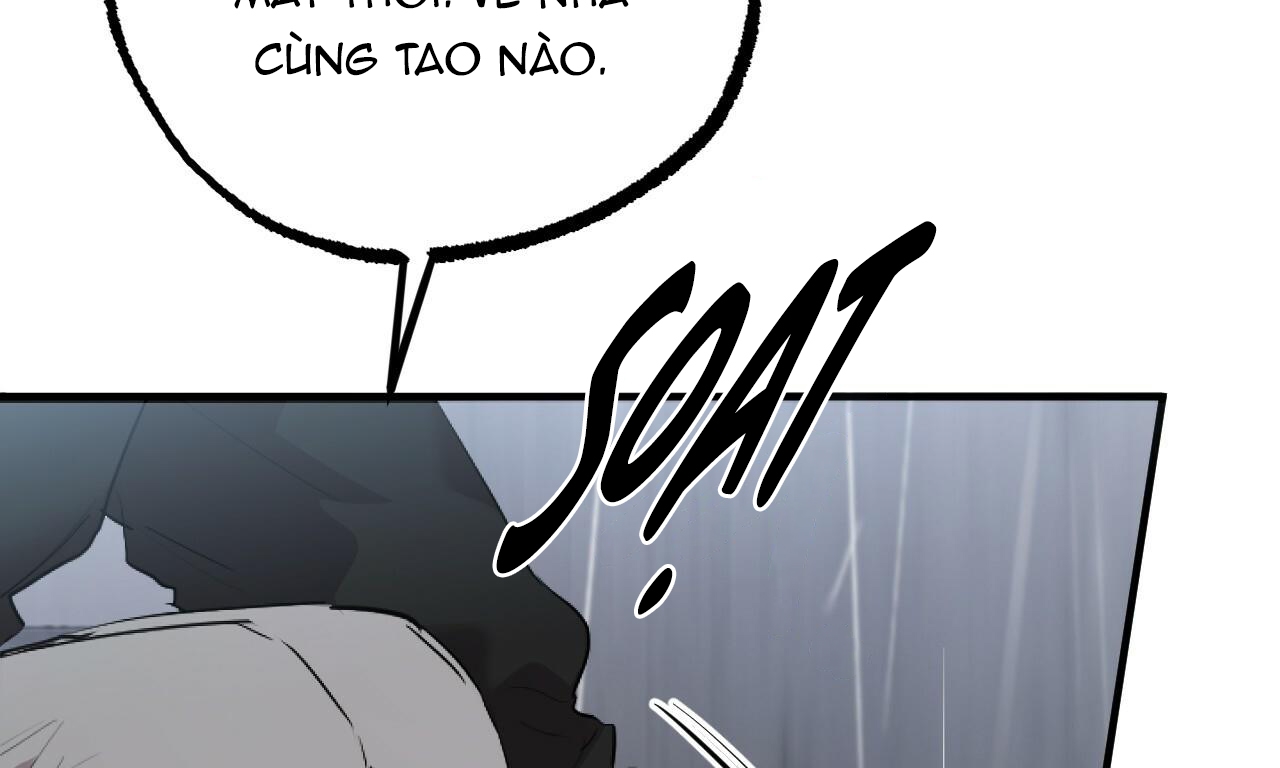 đàn thỏ của habibi chapter 35 26