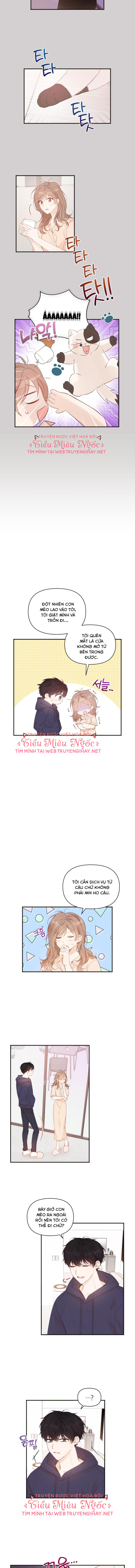 cuộc giao dịch lý tưởng chapter 21 4