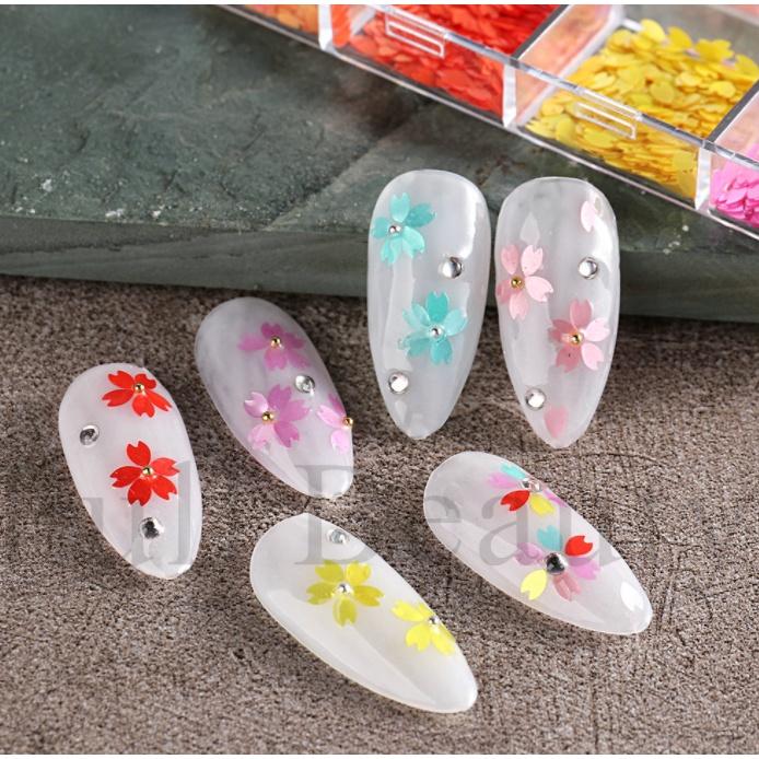 SET CÁNH HOA NHIỀU MÀU TRANG TRÍ NAIL