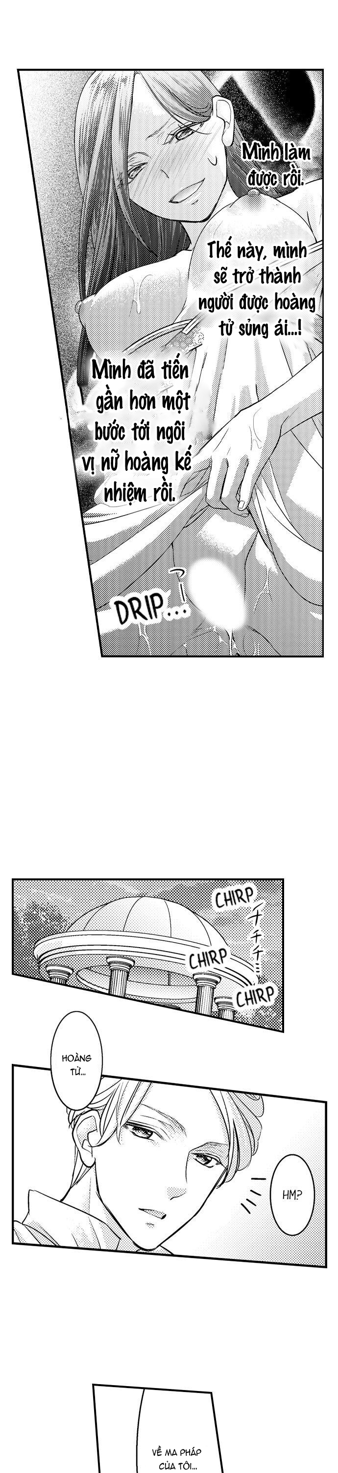 chuyển sinh vào thế giới khác ~ nếu muốn trở thành nữ hoàng hãy tìm cách để được hoàng đế sủng ái vào ban đêm chapter 12.2 2