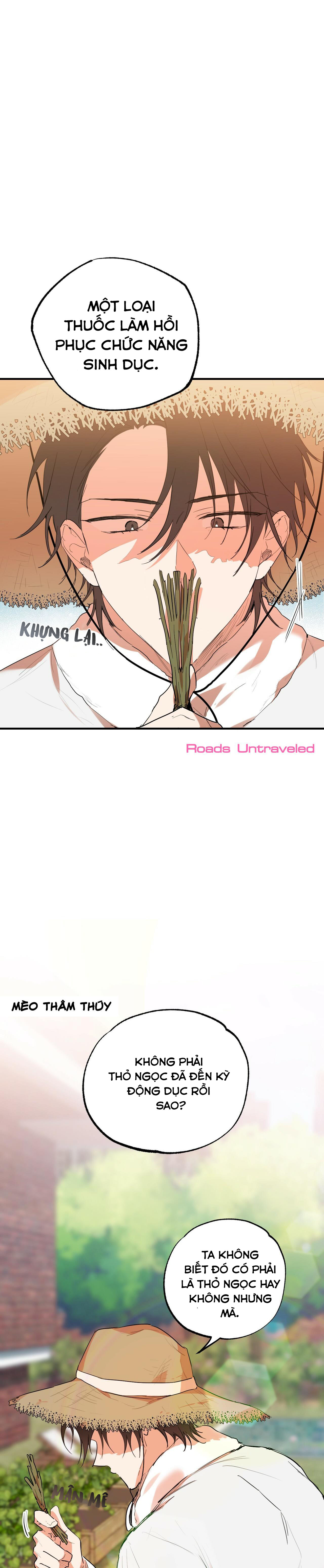 đàn thỏ của habibi chapter 10 32