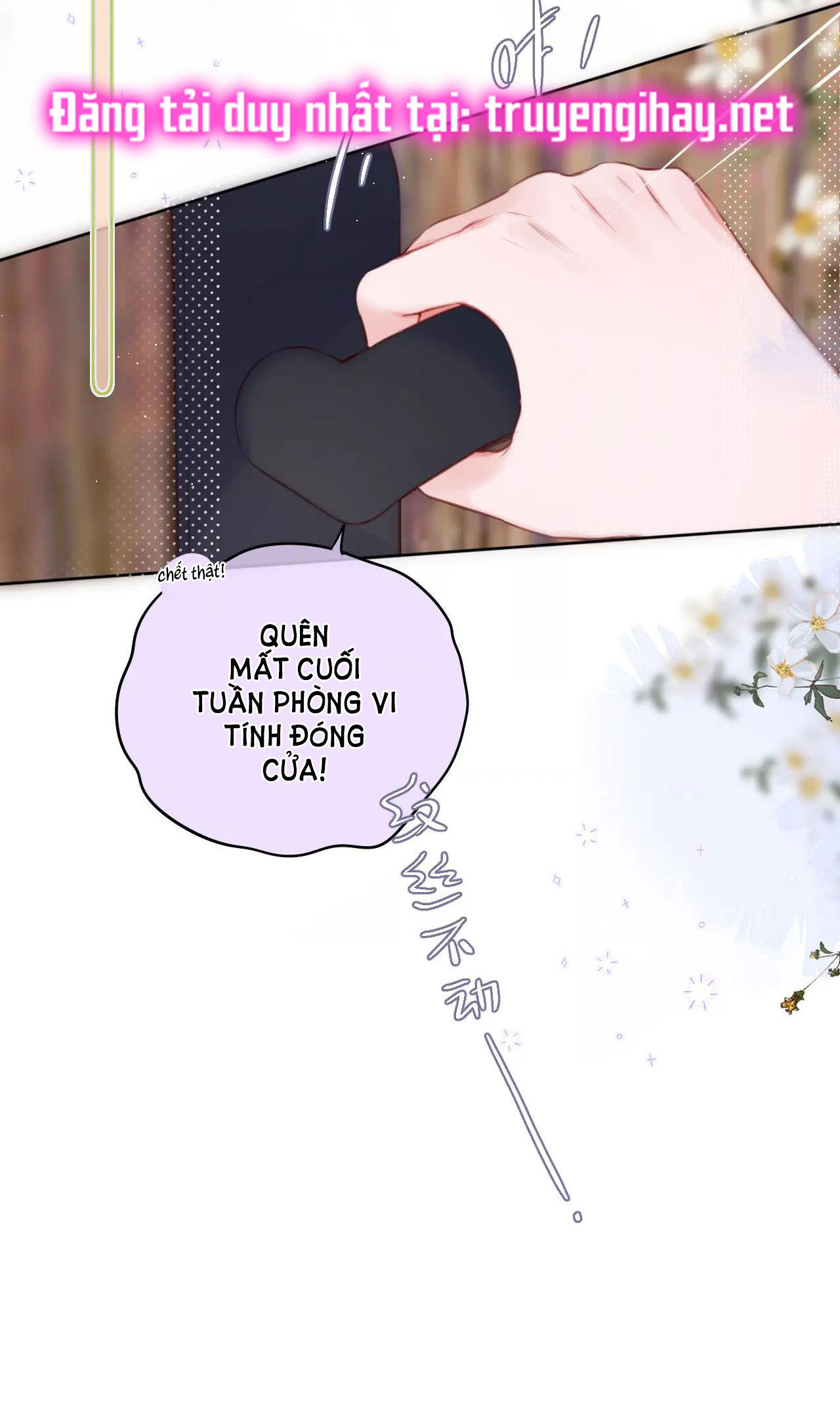 cạm bẫy của hồ ly chapter 34.1 16