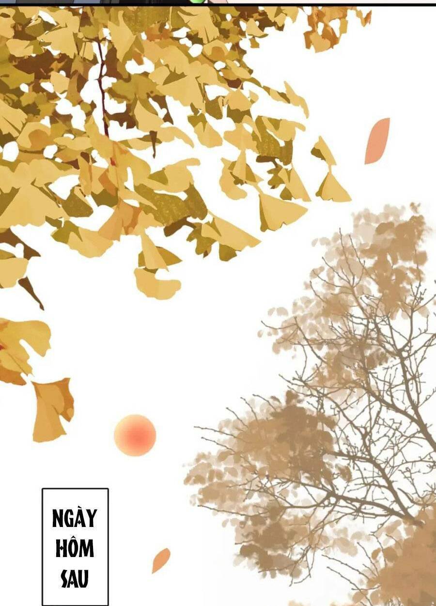 điều hương vương phi chapter 35 34