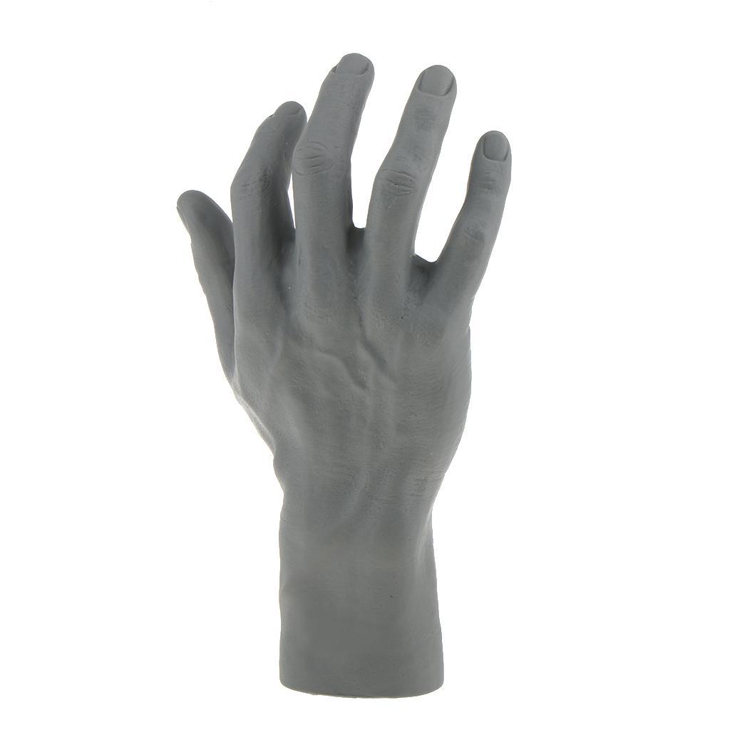 Male Mannequin Right Hand for Jewelry Bracelet Watch Glove  Display