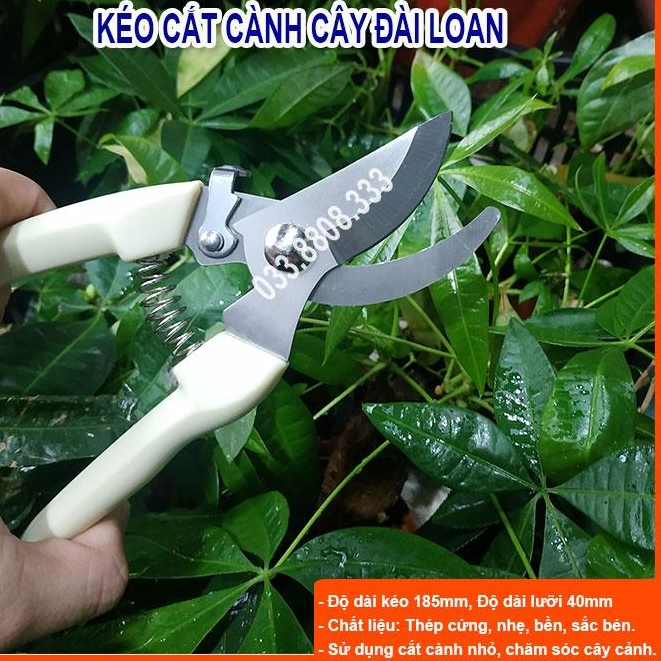 KÉO CẮT CÀNH CÁN TRẮNG ĐÀI LOAN- KÉO BỀN ĐẸP