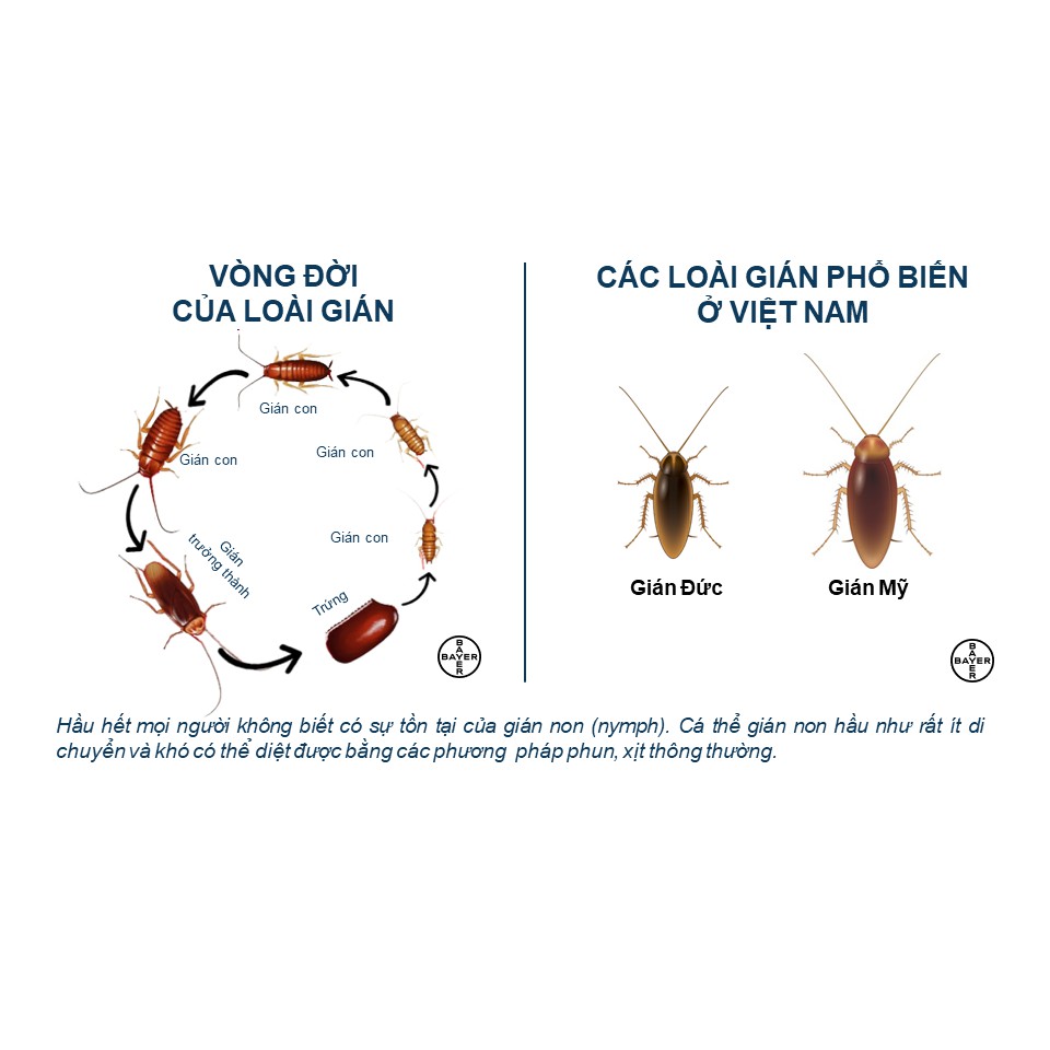 Gel diệt gián sinh học CLEANBAIT- ống xilanh 35gr