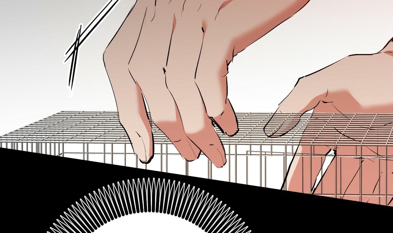 đàn thỏ của habibi chapter 45 132