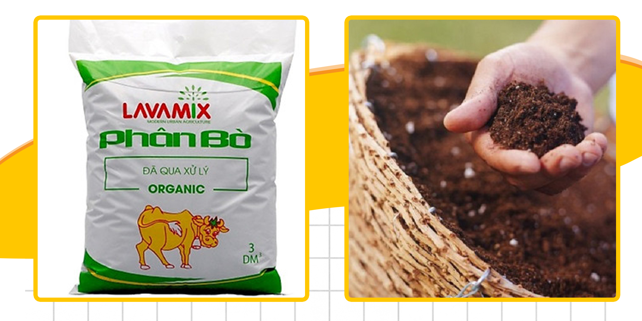 Phân bò không mùi hôi 3dm3, phân hữu cơ sinh học không độc hại, thích hợp cho việc trồng rau sạch - Nông Sản Vàng