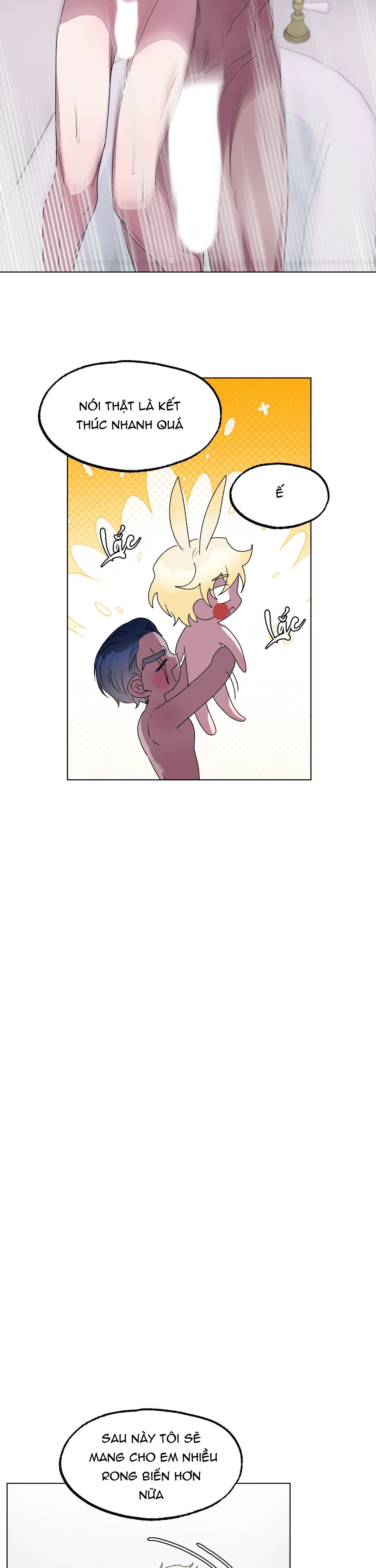 cá mập và cô dâu thỏ chapter 9 18