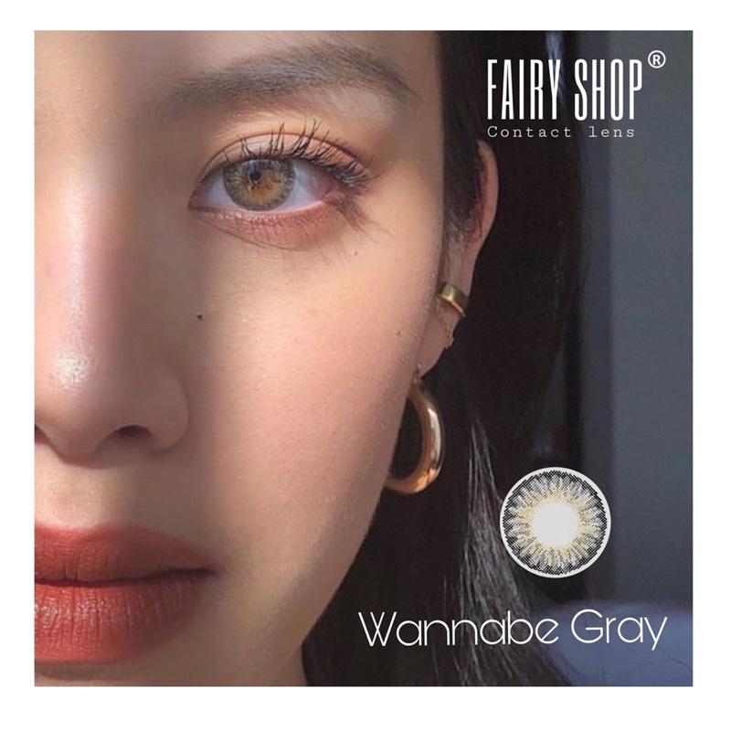 Áp Tròng Wannabe Gray C301 GRAY 14.2 - Kính Áp Tròng FAIRY SHOP CONTACT LENS độ 0 đến 8