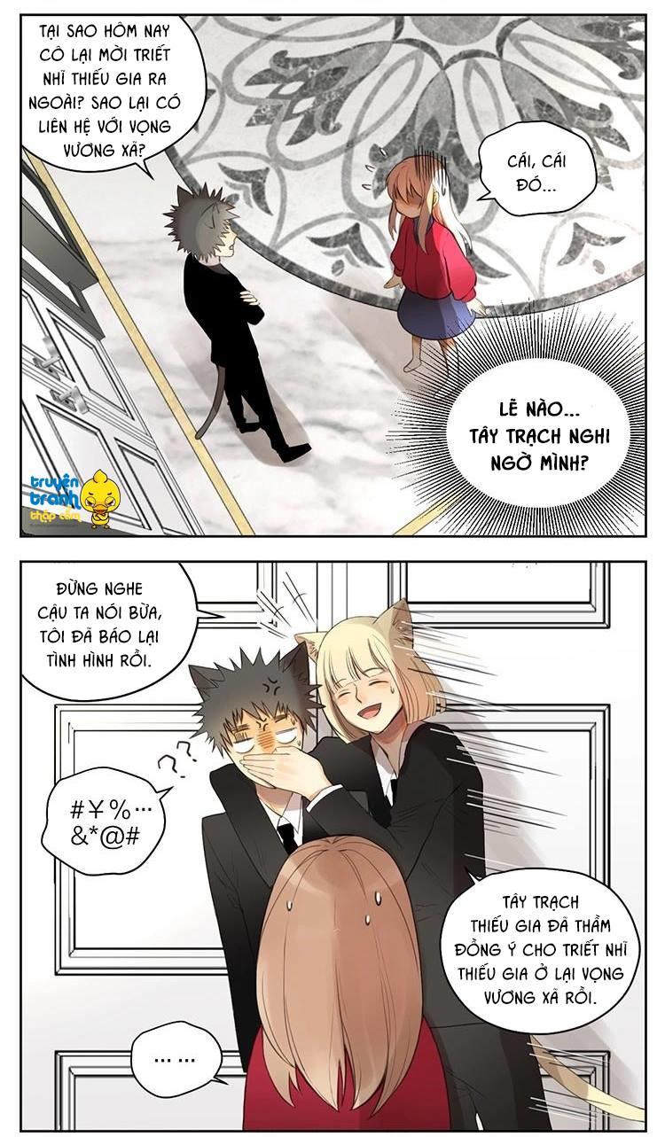 cứu mạng ! loài mèo thống trị thế giới rồi ! chapter 30 3